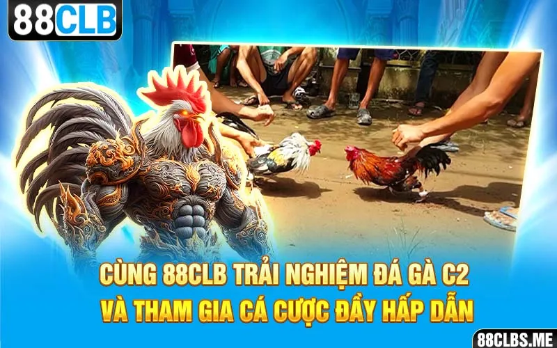 Cùng 88CLB trải nghiệm Đá Gà C2 và tham gia cá cược đầy hấp dẫn