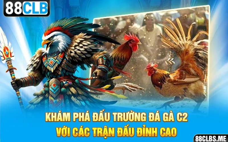 Khám phá đấu trường Đá Gà C2 với các trận đấu đỉnh cao