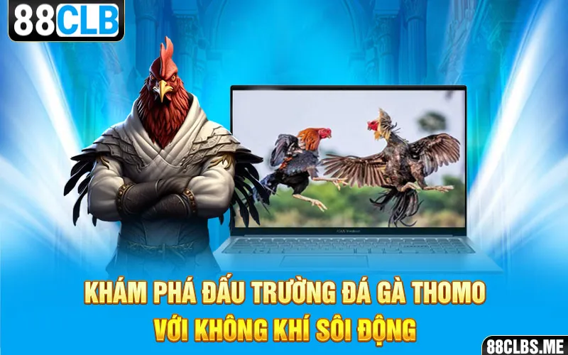 Khám phá đấu trường Đá Gà Thomo với không khí sôi động 